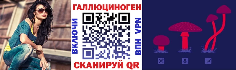 darknet официальный сайт  Озёрск  Галлюциногенные грибы MAGIC MUSHROOMS 